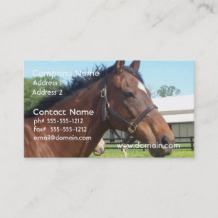 Alert Arabian Horse Business Card