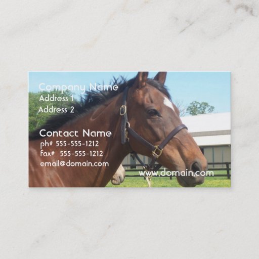Customizable Alert Arabian Horse Business Card
