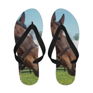 Horse Flip Flops, Horse Sandal Footwear for Women & Men
