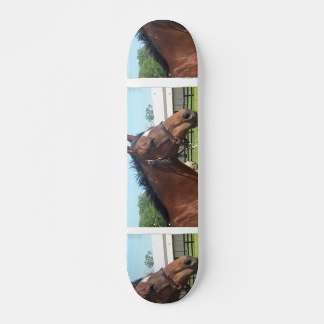 Alert Arabian Horse Skateboard Deck (Front)