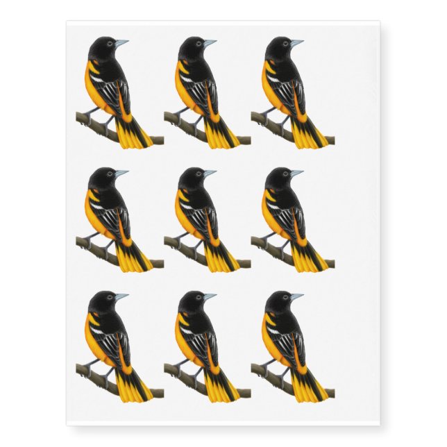 Alert Baltimore Oriole Bird Temporary Tattoo (Front)