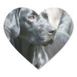 Alert Black Lab Stickers