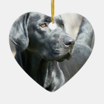 Alert Black Labrador Rertriever Dog Ornament by DogPoundGifts at Zazzle