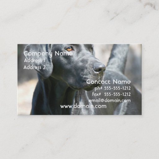 Customizable Alert Black Labrador Retriever Business Cards
