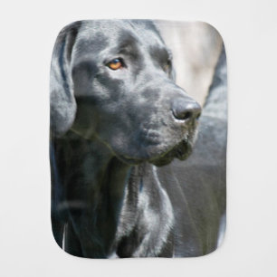 Alert Black Labrador Retriever Dog Baby Burp Cloth