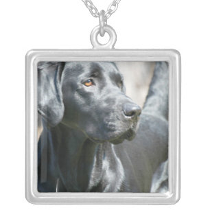 Alert Black Labrador Retriever Dog Silver Necklace