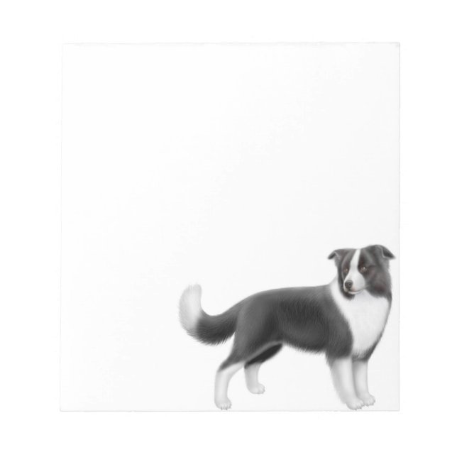Alert Border Collie Dog Notepad (Front)