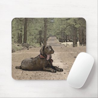 Alert Chocolate Lab On A Forest Trail Artwork
