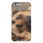 Alert German Shepherd Barely There iPhone 6 Case