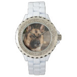 Alert German Shepherd Watch
