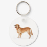 Alert Golden Retriever Keychain