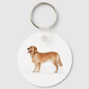 Alert Golden Retriever Keychain