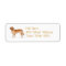 Alert Golden Retriever Mailing Label