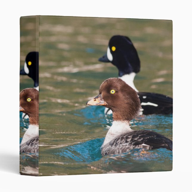 Alert Goldeneye 3 Ring Binder (Front/Spine)
