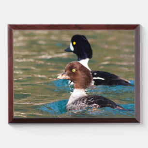 Alert Goldeneye Award Plaque