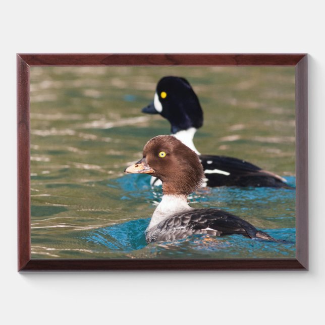 Alert Goldeneye Award Plaque (Horizontal)