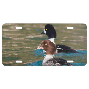 Alert Goldeneye License Plate