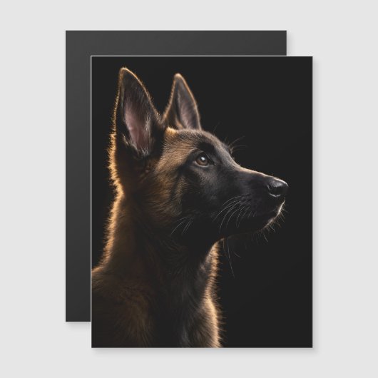 Alert Guardian (Front/Back)