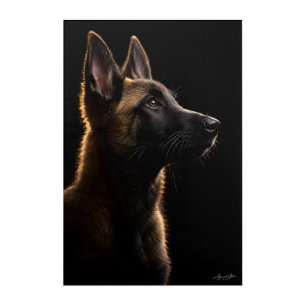 Alert Guardian Acrylic Print