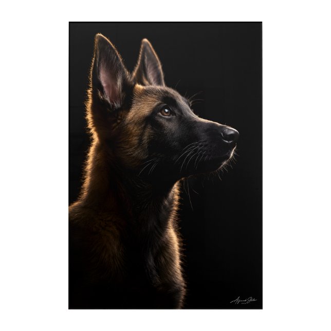 Alert Guardian Acrylic Print (Front)