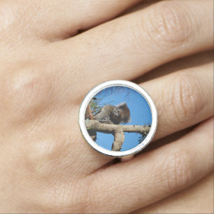 Alert Koala Bear In A Tree, Ring