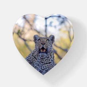 Alert Leopard heart-shaped glass paperweight