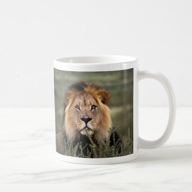 Alert Lion Coffee Mug (Right)