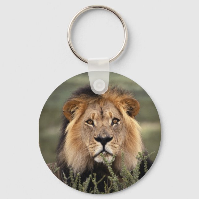 Alert Lion Keychain (Front)