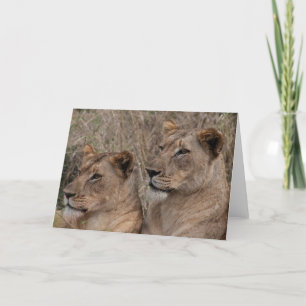 Alert Lionesses Card