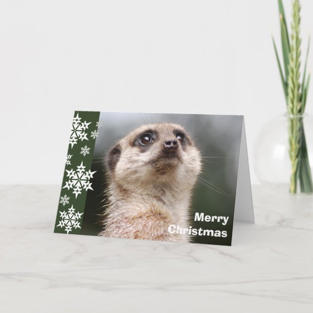 Alert Meerkat Christmas Card (Front)