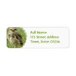 Alert Owl Address Labels