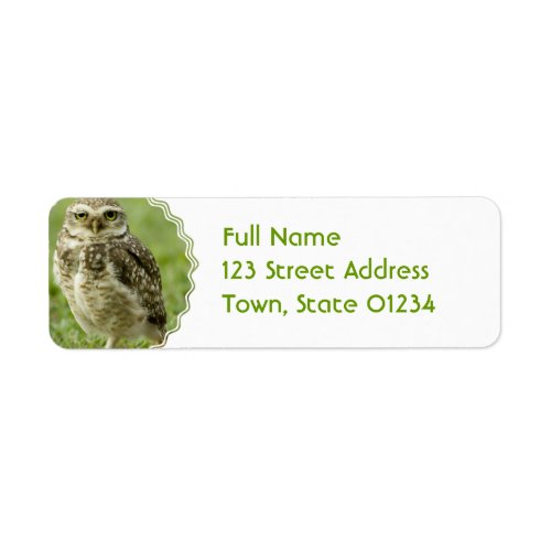 Alert Owl Address Labels