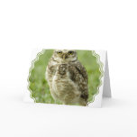 Alert Owl Greeting Card