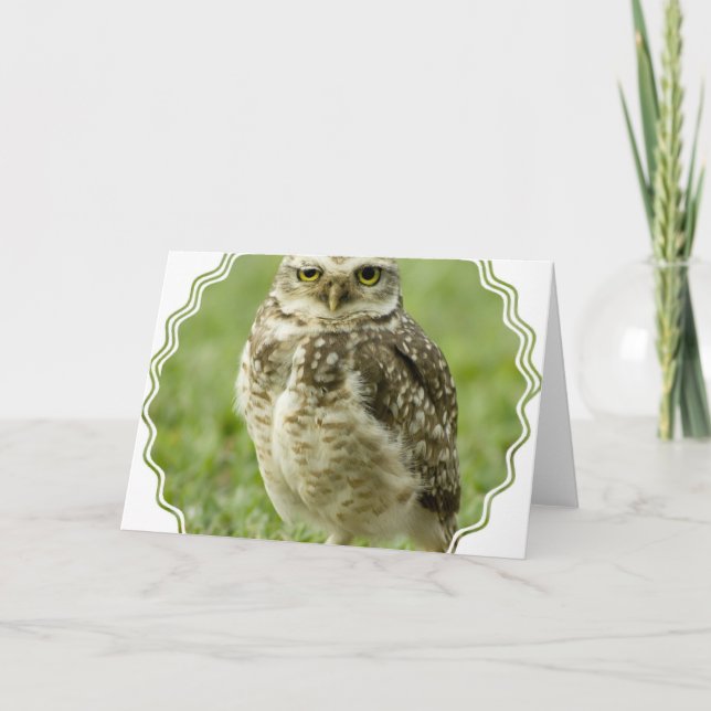 Alert Owl Greeting Card (Front)
