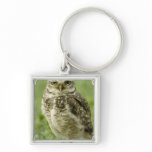 Alert Owl Keychain