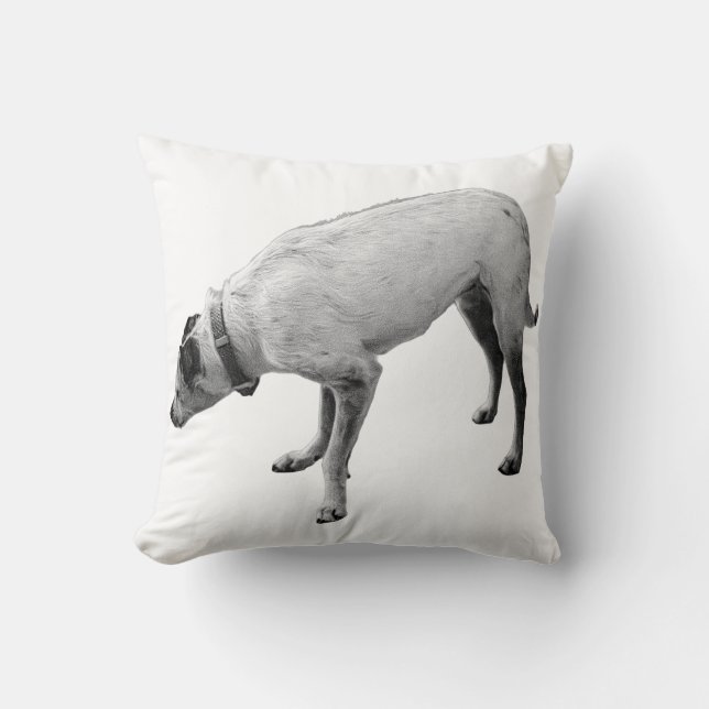 Alert Spirit of Fall Throw Pillow (Front)