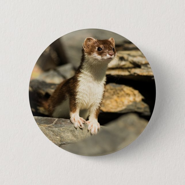 Alert Weasel Button (Front)