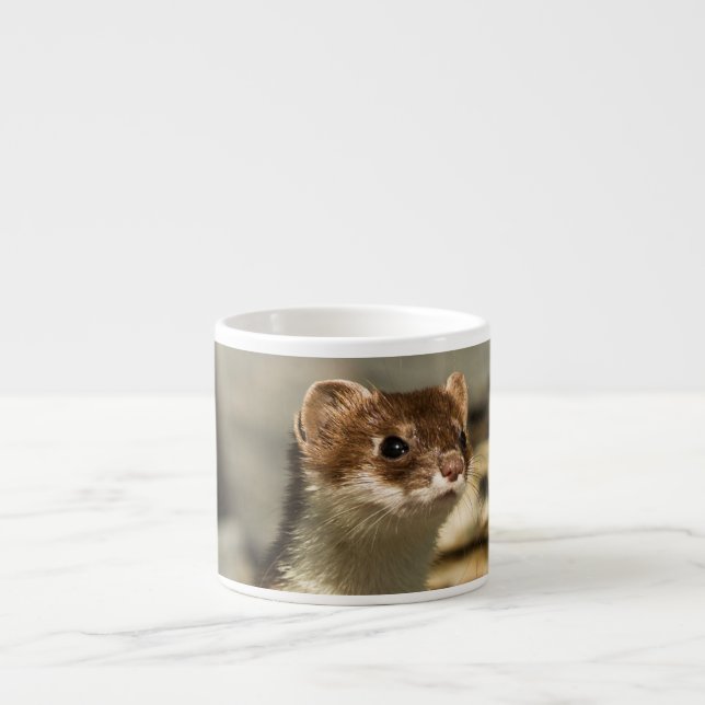 Alert Weasel Espresso Cup (Front)