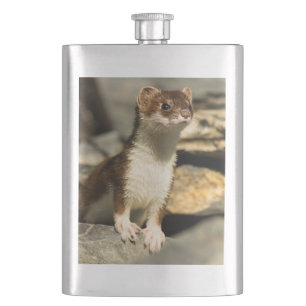 Alert Weasel Flask