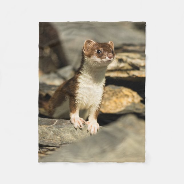 Alert Weasel Fleece Blanket (Front)