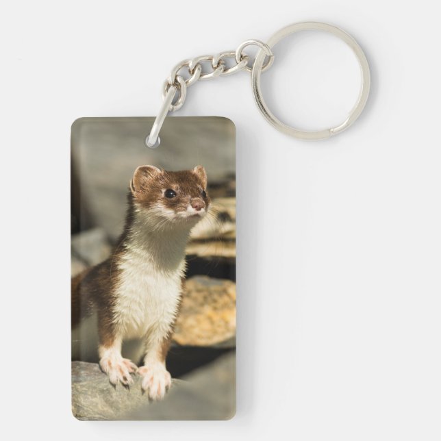 Alert Weasel Keychain (Back)