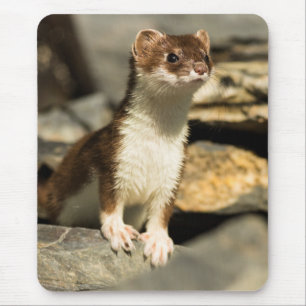 Alert Weasel Mouse Pad