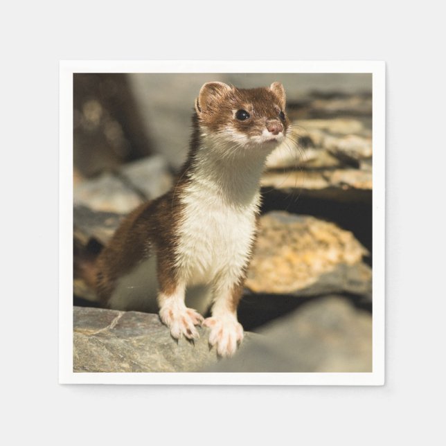 Alert Weasel Napkins (Front)