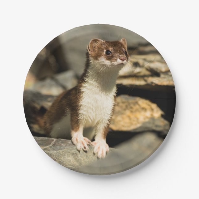 Alert Weasel Paper Plates (Front)