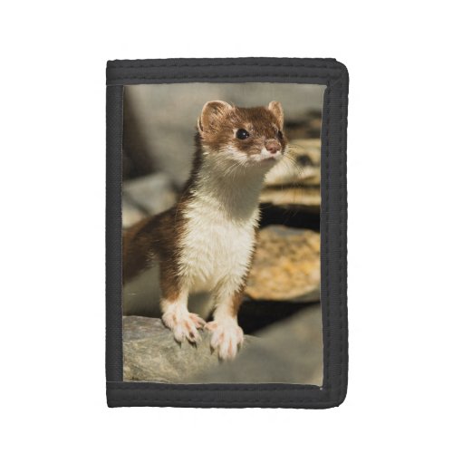 Alert Weasel Trifold Wallet