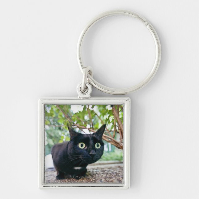 alerted cat hiding under bush. keychain (Front)