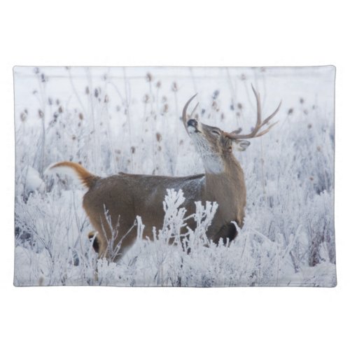 Alerted White_tail Deer Buck Montana Cloth Placemat