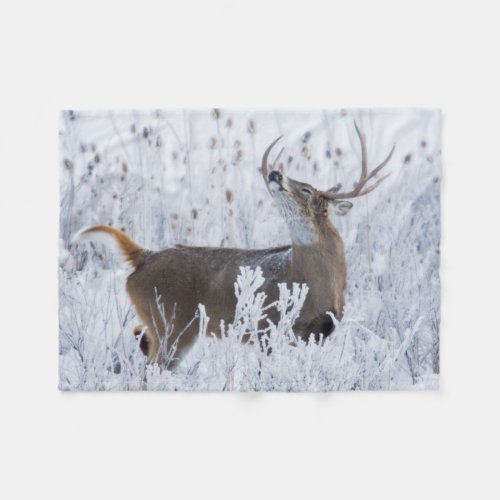 Alerted White_tail Deer Buck Montana Fleece Blanket