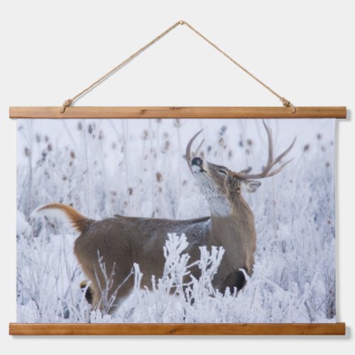 Alerted White_tail Deer Buck Montana Hanging Tapestry