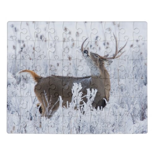 Alerted White_tail Deer Buck Montana Jigsaw Puzzle